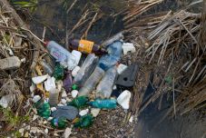 Szemétteleppé váltak a hazai folyóvizek  – A Duna évente csaknem 100 tonna műanyagot szállít 