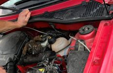 Egy kiskutya száz kilométeren át utazott egy autó motorterébe bújva