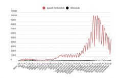 Koronavírus Romániában: 5 ezer alatt maradt az új fertőzöttek száma