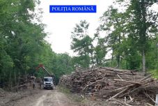 Tánczos: februártól megállítható lesz az illegális fakitermelés Romániában