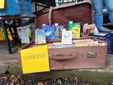 Könyves kincsesbánya – így menteknek kidobásra ítélt könyveket Nagyváradon