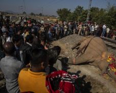 Síneken sétáló elefántokat gázolt el a vonat Indiában