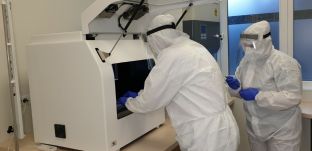 Nagy valószínűséggel a nagybányai sportolót is a koronavírus omikron-variánsa fertőzte meg