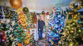 444 karácsonyfát díszített fel lakásában: világrekordot döntött a férfi