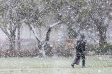 Elsőfokú riasztást adtak ki havazás miatt az ország 14 megyéjére