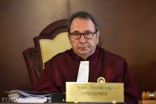 Alkotmánybírósági elnök: ne használják kampánycélra az alaptörvényt