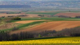 A romániai termőföldek drágábbak, mint a magyarországiak