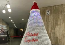 Üres oltóanyagos üvegcsékből állítottak karácsonyfát, 90 ezer lejre büntették