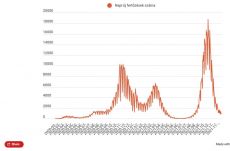 FRISSÍTVE - Koronavírus Romániában: stagnál az új fertőzöttek száma
