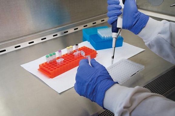 Tanulmány készült a Pfizer oltóanyagának hatékonyságáról az omikronnal szemben