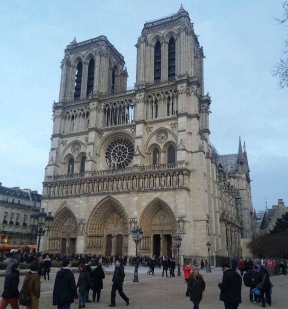 Kisebb erdőből épülhet újjá a Notre Dame