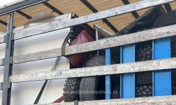 Negyvenhét tonna hulladékot fordítottak vissza a határról