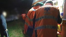 Kutyasétáltatás közben támadtak ebek egy aradi nőre