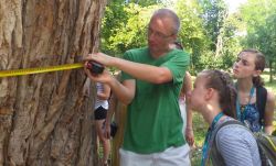 Három erdélyi magyar szakember került be a világ legtöbbet idézett kutatói közé
