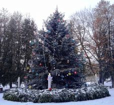 Fehér lesz a karácsony Hargita és Kovászna megye hegyvidékein