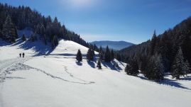 Hol van már a tavalyi hó? – 60 év alatt szinte felére csökkent a hótakaró átlagos vastagsága