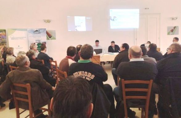 Mezőgazdasági szövetkezet alakult Felcsíkban – vágóhídat is építenének közösen