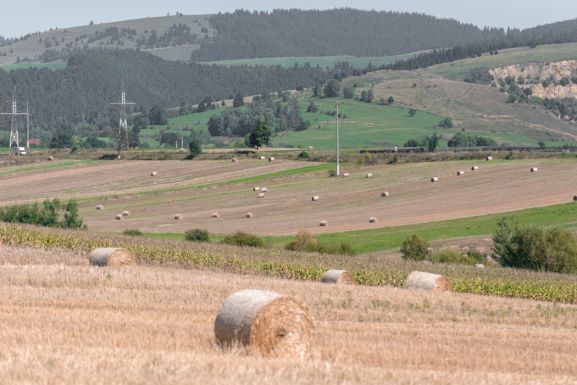 A mezőgazdaság egy sajátos „biznisz” – Barabási Antal Szabolcs államtitkárt kérdeztük