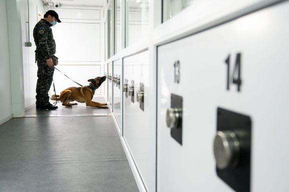Romániában is betanítottak már kutyákat a koronavírus kiszimatolására
