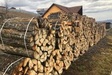 Türelmi időt kérnek a faiparosok, amíg sikerül kijavítani a SUMAL hibáit