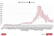 Csaknem tízezer elvégzett tesztből 1331 lett pozitív