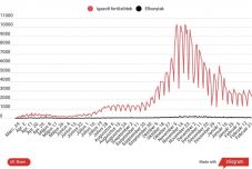Az elvégzett tesztek 14 százaléka mutatott pozitív eredményt az elmúlt 24 órában
