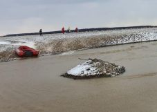 Áradástól fenyegetett szigetről kellett kimenteni egy nyolcvanéves juhászt Szatmárnémetiben