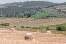 A mezőgazdaság egy sajátos „biznisz” – Barabási Antal Szabolcs államtitkárt kérdeztük