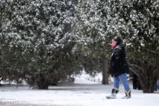 Ötmillió ember maradt áram nélkül a rekordhideg miatt Mexikóban