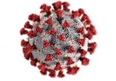 Újabb országban jelent meg a brazil koronavírus-mutáció