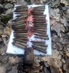 Második világháborús éles lőszereket találtak egy Nagyvárad melletti erdőben