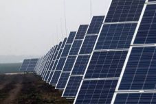 Több mint ezer hektáros napelempark épülne Arad megyében