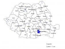 INSP: nagy a valószínűsége, hogy a brit vírustörzs az egész országban elterjed