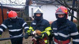 Kutyakölyköt mentettek ki az érmihályfalvi tűzoltók egy tizenkét méter mély kútból