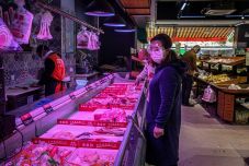 A WHO vezető tudósa nem biztos benne, hogy a koronavírus Kínából származik