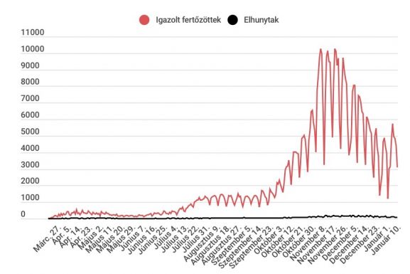 Az elvégzett tesztek közel 20 százaléka mutatott pozitív eredményt