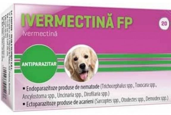 Veszélyes Ivermectin-őrület: megrohamozták az állatgyógyszertárakat az emberek