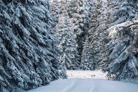 Időjárás: havazni fog a hegyekben, esni fog országszerte