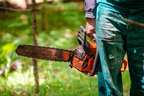 Bírálja a WWF az új SUMAL-t: fennakadásokat okoz a piacon