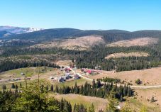 Szigorúan védett területeken is aszfaltozna a Bihar megyei tanács elnöke