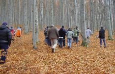 Eltűnt hároméves gyermek után kutatnak Kovászna megyében