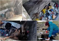 Hihetetlen kegyetlenséggel pusztítottak el kutyákat Biharban, megvannak a gyanúsítottak