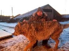 Puszta kézzel végzett a farkassal a bátor állattartó gazda