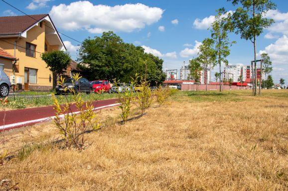 Kiszáradt Nagyvárad „zöld folyosója”, a városháza egyik imázs-beruházása