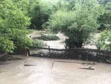 Másodfokú árvízriadó van Arad, Temes és Hunyad megyében