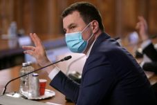 Véglegesítették a medvetámadás esetén történő azonnali beavatkozást engedélyező rendeletet