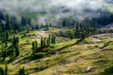 A Föld legalább egyharmadát nyilvánítaná természetvédelmi területté az ENSZ