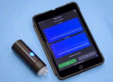 Kutyákat, méheket és elektronikus orrt képeznek ki a koronavírus kiszimatolására