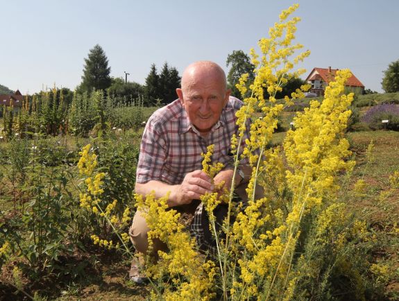 Bőrvédő gyógynövények kánikula idejére: ezeket ajánlja a bükki füvesember