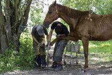 „Mint csiga a házát, úgy viszi magával mindenhová a munkahelyét” 